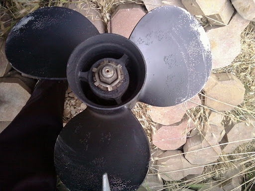 p_00181.jpg