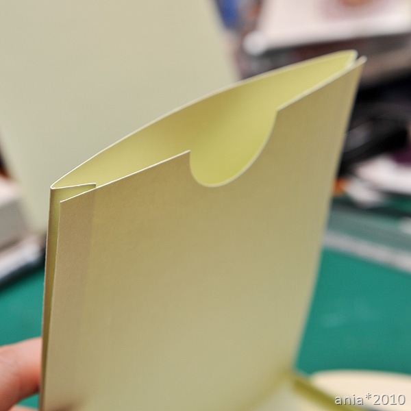 [DSC_5461[2].jpg]