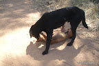 DSC02538.JPG