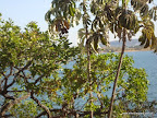 DSC07166.JPG