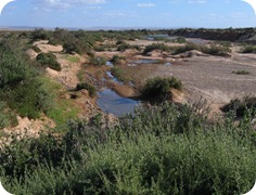 oued_chbika oued_chbika