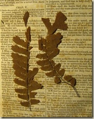 leaves2 leaves2