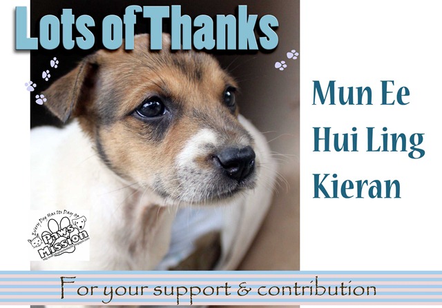 [Thank you others[3].jpg]