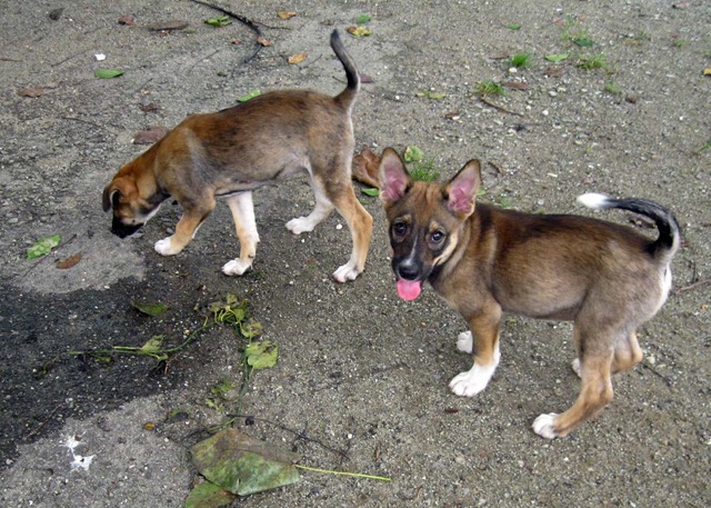 [Joan & Joey 3[4].jpg]