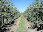 El Saber,Agricultura Slideshow slideshow