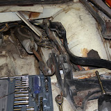 IMG_4727.JPG