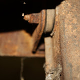 IMG_4890.JPG