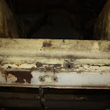 IMG_4865.JPG