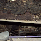 DSC00108.JPG