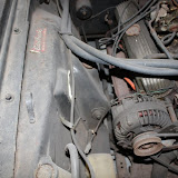 IMG_5595.JPG
