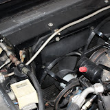 IMG_6585.JPG