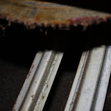 IMG_6273.JPG