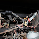 IMG_6352.JPG