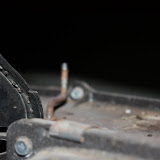 IMG_6400.JPG
