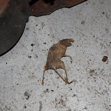 IMG_6415.JPG