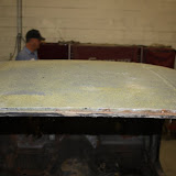 IMG_6481.JPG