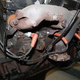 IMG_6695.JPG