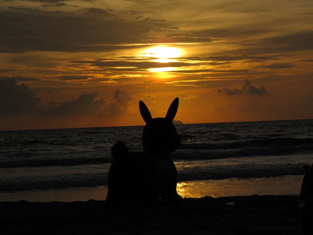 [IMG_34652.jpg]