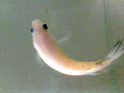 Imag004.jpg
