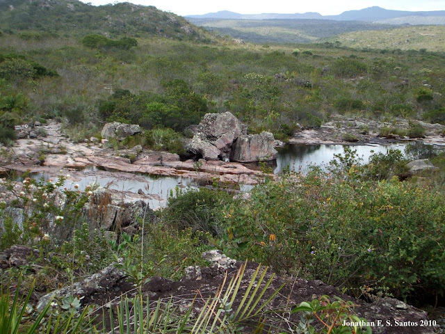 Plantas carnívoras na Chapada Diamantina, Bahia, Brasil Chapada%20Diamantina%20%2815%29