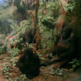 2010-02-27 14.52.14.jpg