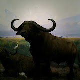 2010-02-27 14.41.33.jpg