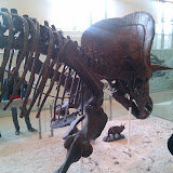 2010-02-27 15.59.44.jpg