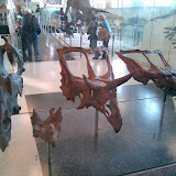 2010-02-27 15.57.09.jpg
