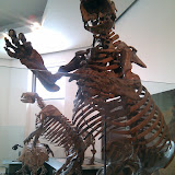 2010-02-27 16.05.17.jpg