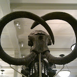 2010-02-27 16.14.34.jpg