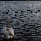 DSC_0193.JPG