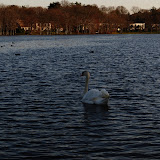 DSC_0196.JPG