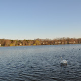 DSC_0199.JPG