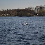 DSC_0120.JPG