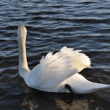 DSC_0125.JPG