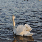 DSC_0129.JPG
