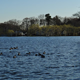 DSC_0135.JPG