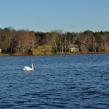 DSC_0139.JPG