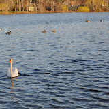 DSC_0153.JPG