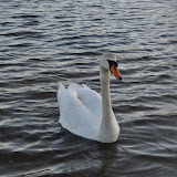 DSC_0161.JPG