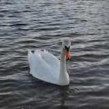 DSC_0162.JPG