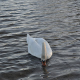 DSC_0166.JPG