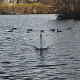 DSC_0168.JPG