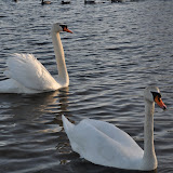 DSC_0173.JPG