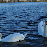DSC_0178.JPG