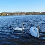 DSC_0180.JPG