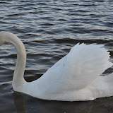 DSC_0182.JPG