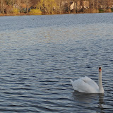 DSC_0209.JPG