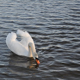 DSC_0214.JPG