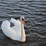 DSC_0216.JPG